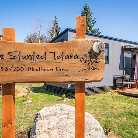 Vila Stunted Totara, Unit 3 Twizel Exteriér fotografie